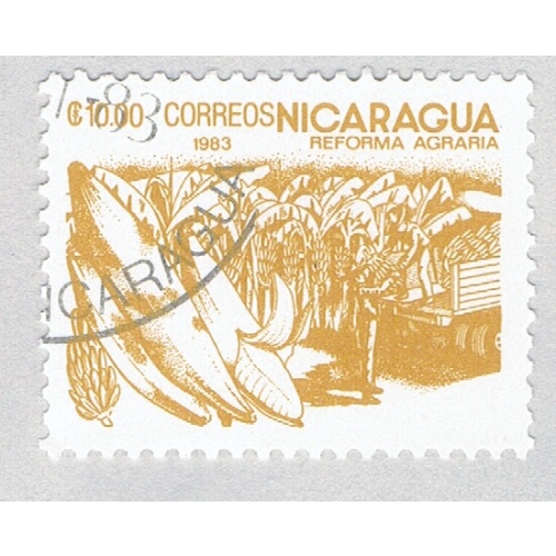 Nicaragua Bananas brown 1000c (AP121410)-2