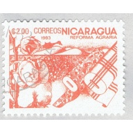 Nicaragua Cotton orange 300c (AP121415)-2