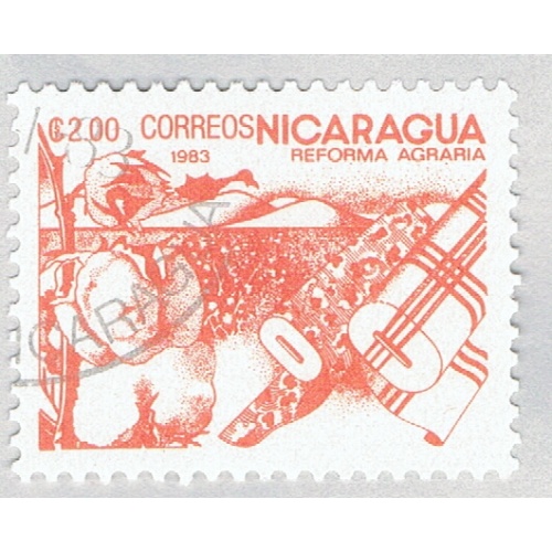 Nicaragua Cotton orange 300c (AP121415)-2