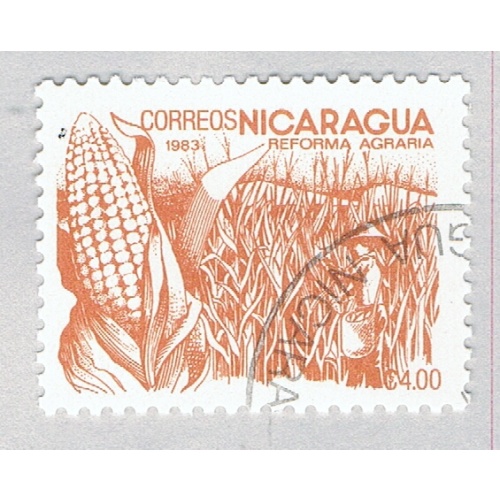 Nicaragua Corn mocca 400c (AP121416)-2