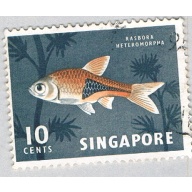 Singapore Fish grey 10c 2 (AP126317)