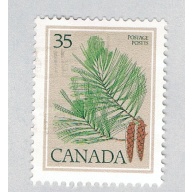 Canada Pine cone bis 35c (AP127913)