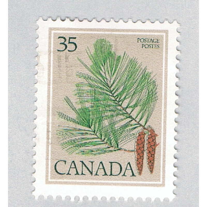 Canada Pine cone bis 35c (AP127913)