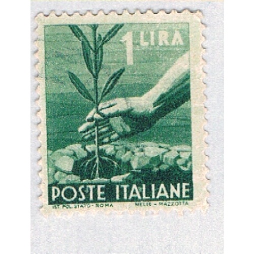 Italy Planting green 1l (AP129142)