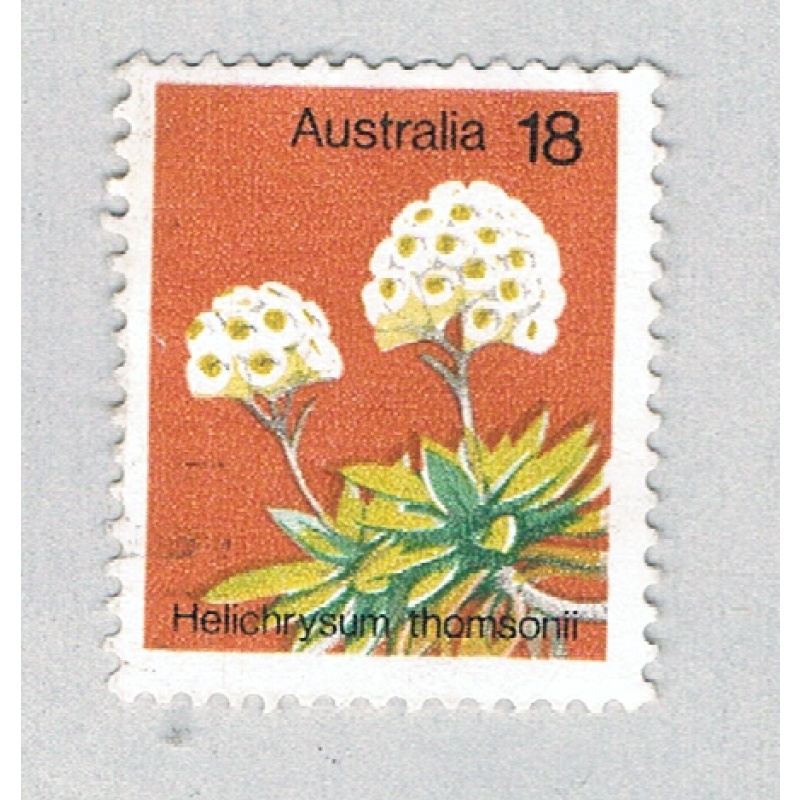 Australia Flower 18 (AP132810)