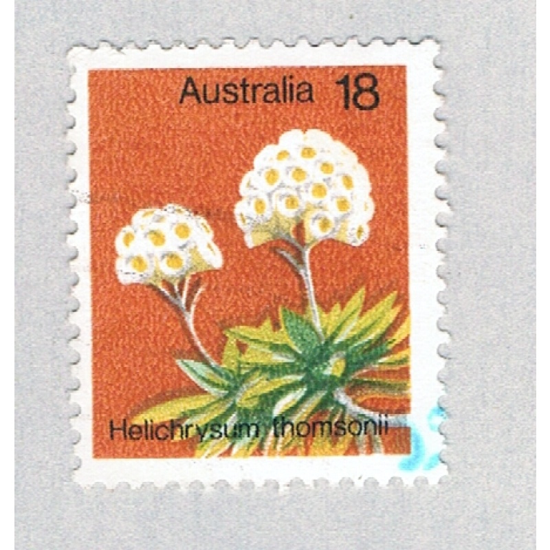 Australia Flower 18 2 (AP132812)