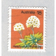 Australia Flower 18 (AP132813)