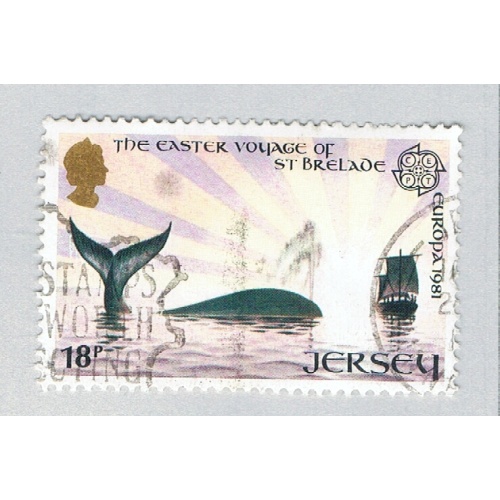 Jersey Whale pink 18f (AP134307)