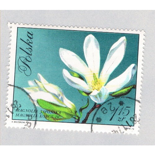 Poland Flower white 115za 1 (AP134806)