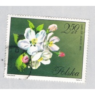 Poland Flower green 250za (AP134808)