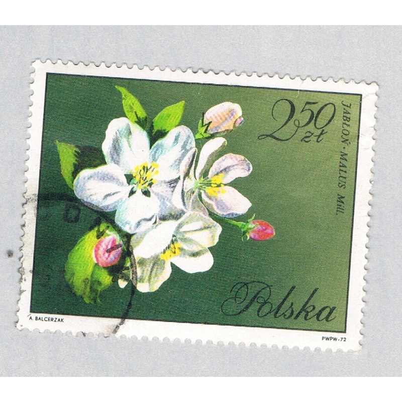 Poland Flower green 250za (AP134808)