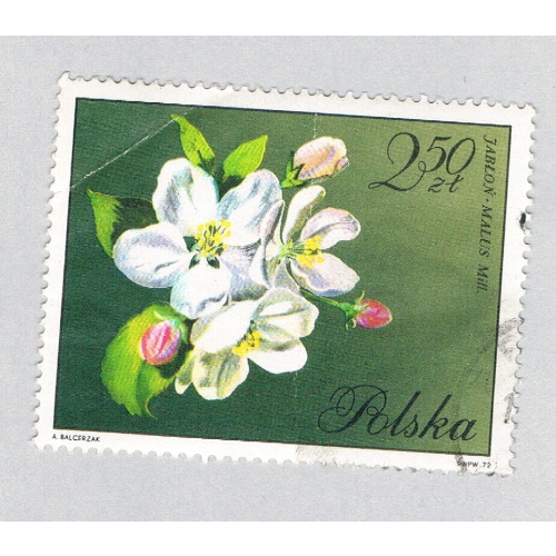Poland Flower green 250za 1 (AP134809)
