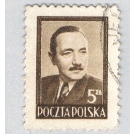 Poland Man brown 5za (AP134915)