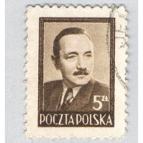 Poland Man brown 5za (AP134915)