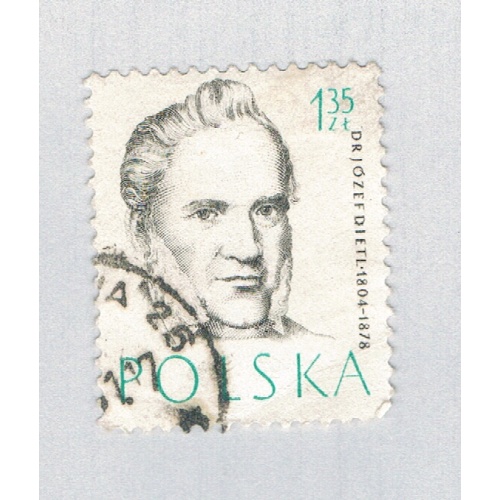 Poland Dietl white 135za (AP135304)