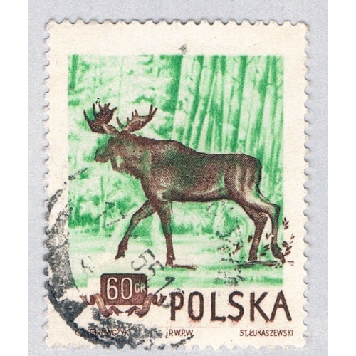 Poland Elk green 60gr (AP135311)