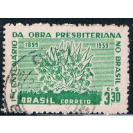 Brazil Flowers 330 (BP2R101)