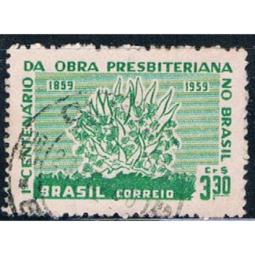 Brazil Flowers 330 (BP2R101)