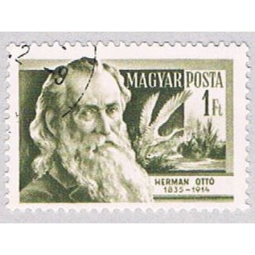 Hungary Otto 1 (AP109218)