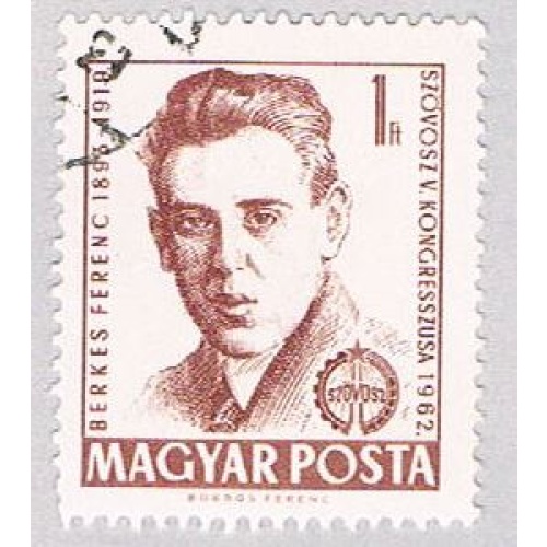 Hungary Man brown 1 (AP111513)