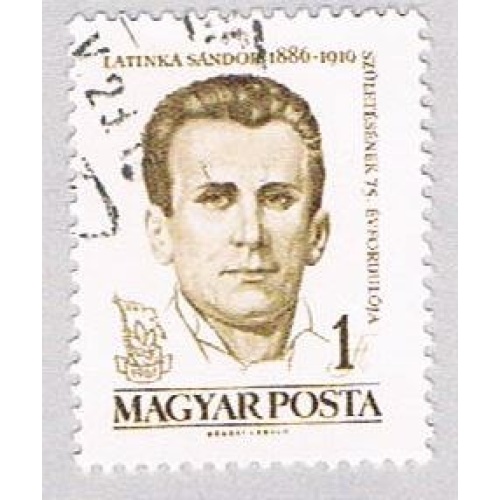 Hungary Man dk brown 1 (AP111514)