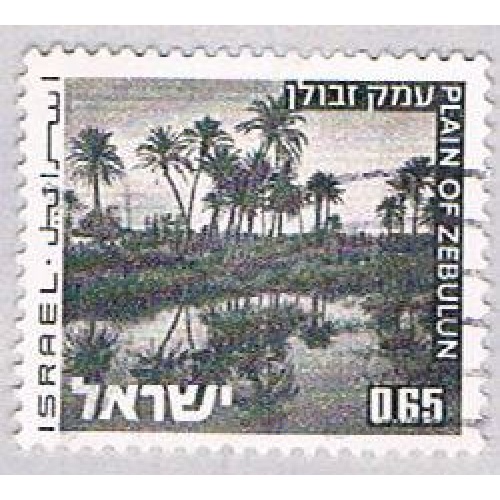 Israel Oasis 65 (AP100828)