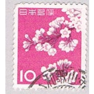 Japan cherry blossom 10 (AP107620)