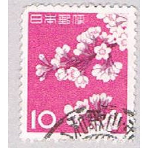 Japan cherry blossom 10 (AP107620)