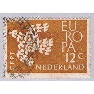 Netherlands Dove (NP39R201)