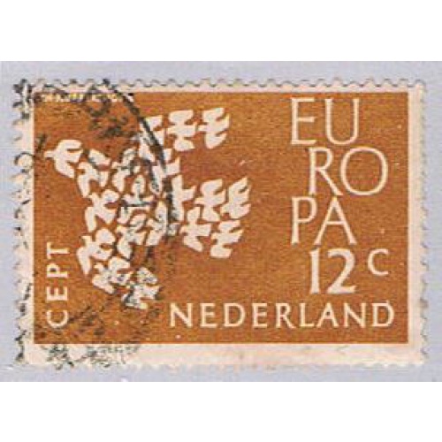 Netherlands Dove (NP39R201)
