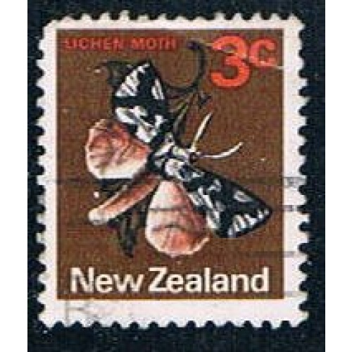 New Zealand Flowers (NP29R701)