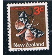 New Zealand Flowers (NP29R702)
