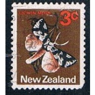 New Zealand Flowers (NP29R703)