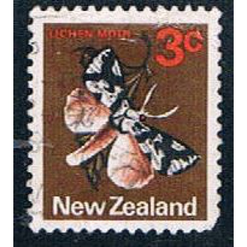 New Zealand Flowers (NP29R703)