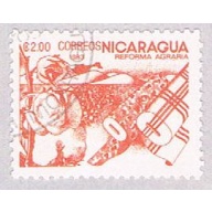 Nicaragua Cotton 2 (AP104905)