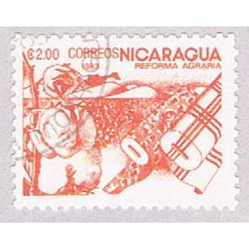 Nicaragua Cotton 2 (AP104905)