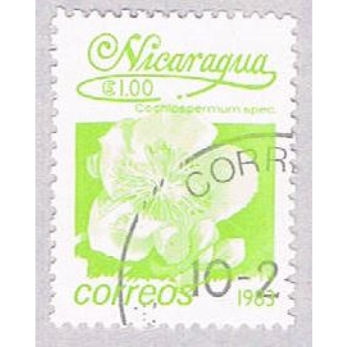 Nicaragua Flower 100 (AP107112)
