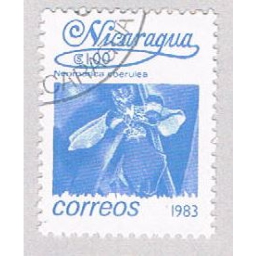 Nicaragua Flower 100 (AP107218)