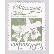 Nicaragua Orchid 100 (AP107224)