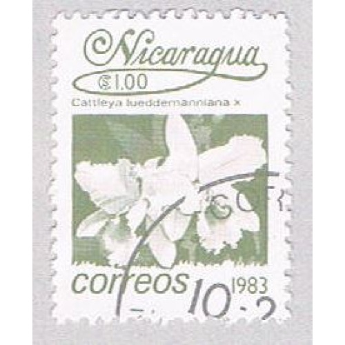 Nicaragua Orchid 100 (AP107224)