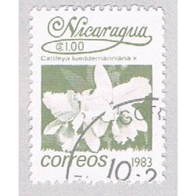 Nicaragua Orchid 100 (AP107224)