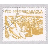 Nicaragua Bananas 1000 (AP107407)