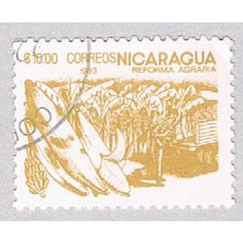Nicaragua Bananas 1000 (AP107407)