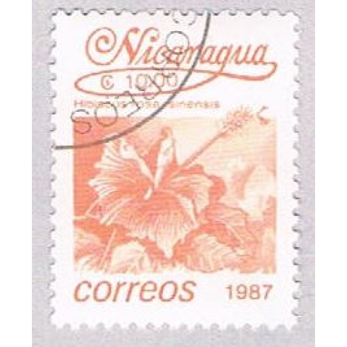 Nicaragua Hibiscus 10 (AP107915)
