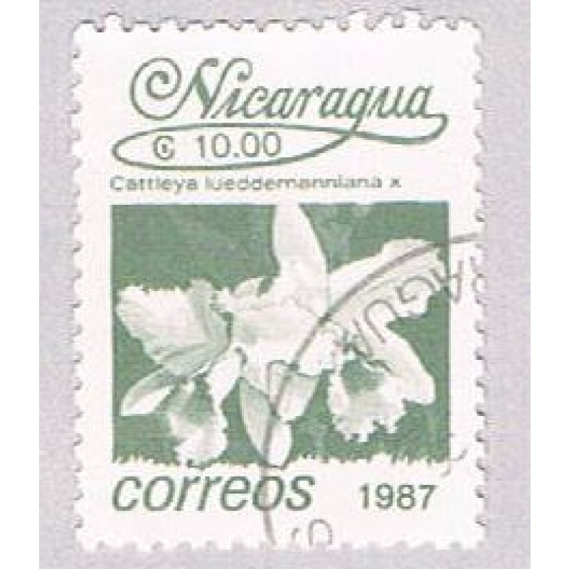 Nicaragua Hibiscus 10 (AP107923)