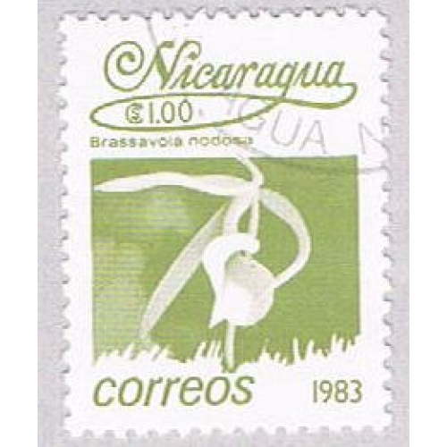 Nicaragua Flower 100 (AP107928)