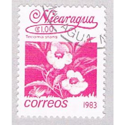 Nicaragua Flower 100 (AP108702)