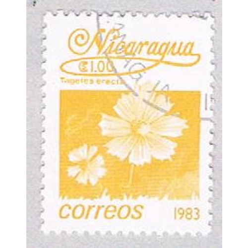 Nicaragua Flower yellow 100 (AP108709)