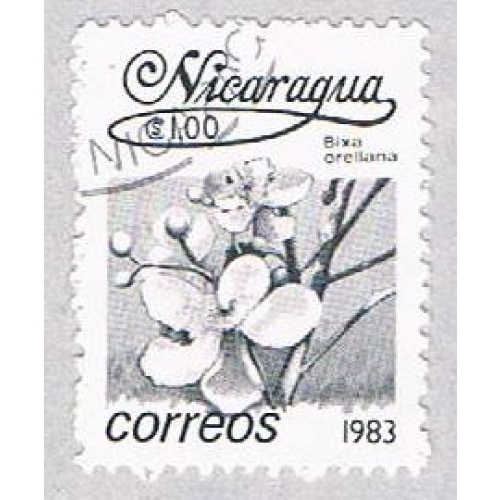 Nicaragua Flower black 10 (AP108726)