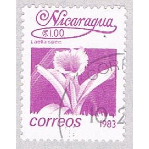Nicaragua Flower purple 100 (AP117001)